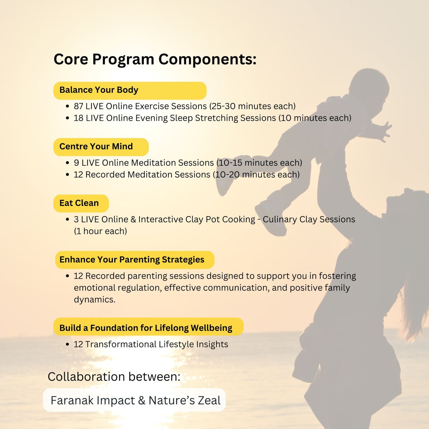 Resilience-in-Flow for Parents: 12-Week Program